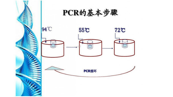 gPCR(gu)a(chn)ԇ	