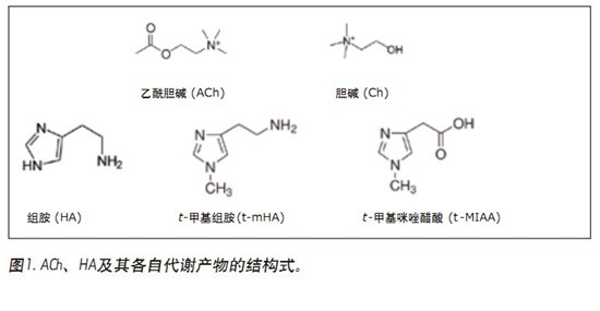 CORTECS UPLC HILICɫV_l(f)һN܉?q)XҺ(CSF)đAMxa(chn)ͬr(sh)M(jn)жUPLC/MS/MSy