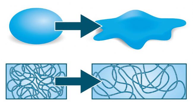 Viscoelastic_behavior_of_a_polymeric_material.png