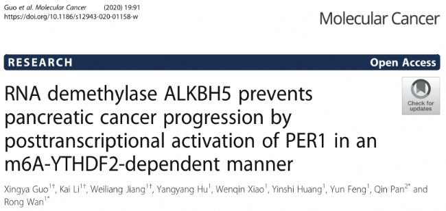 RNA demethylase ALKBH5 prevents pancreatic cancer progression by posttranscriptional activation of PER1 in an m6A-YTHDF2-dependent manner