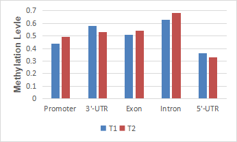 4. eccDNA׻ˮƽy(tng)Ӌ(j)