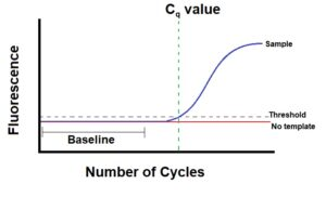 qpcr