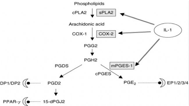 ׼-1IL-1Įa(chn){(dio)(ji)