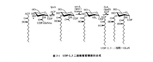 Lipid AϳɺzW(xu)