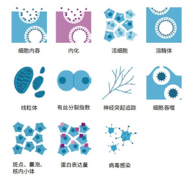 成像系統(tǒng)