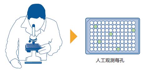 細胞生長分析