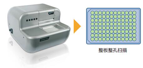 細胞生長分析