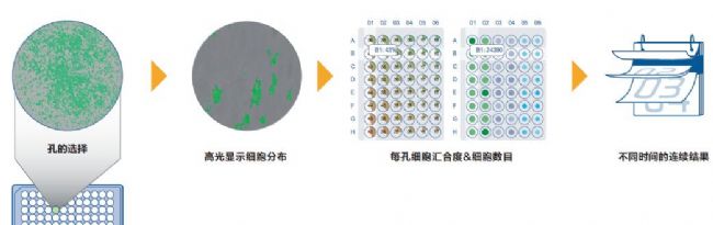 細胞生長分析