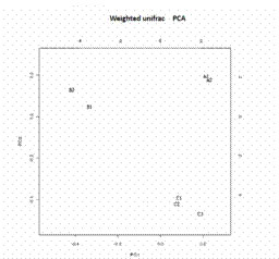 Weighted unifrac PCA