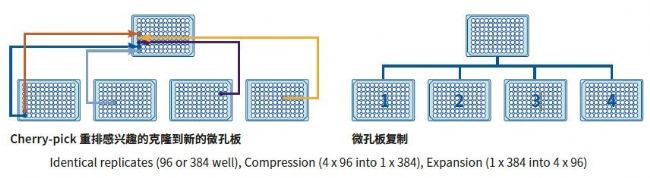 微生物篩選系統(tǒng)